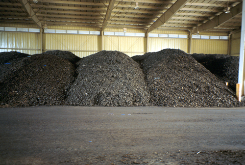 Compost Pile