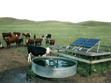 Livestock watering tank