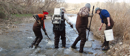 Pedernales River sampling