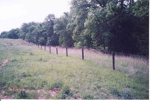 Riparian Fence