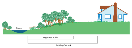 Riparian setback