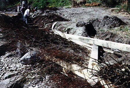 Vegetated Cribbing