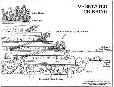 Vegetated Cribbing